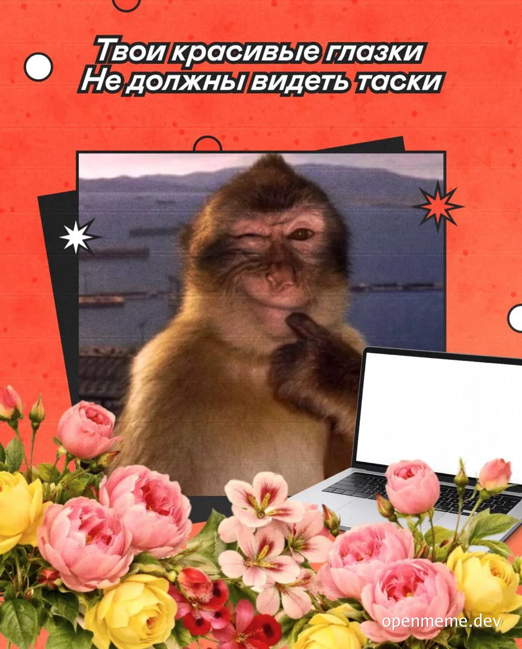 monkey looking at laptop with flowers
