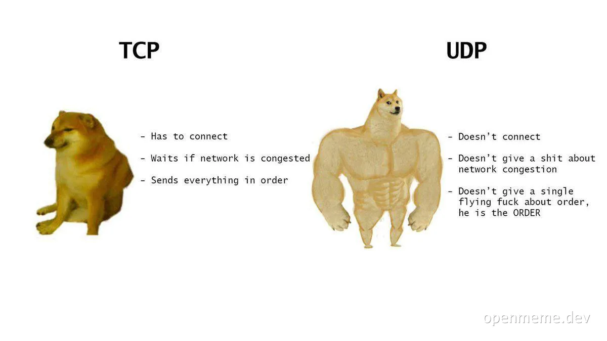 Doge comparing TCP and UDP