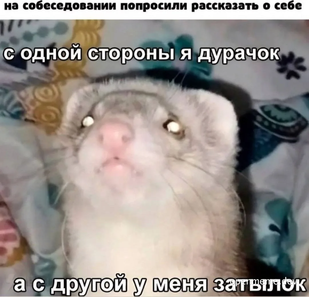 ferret with a silly expression and russian text overlay