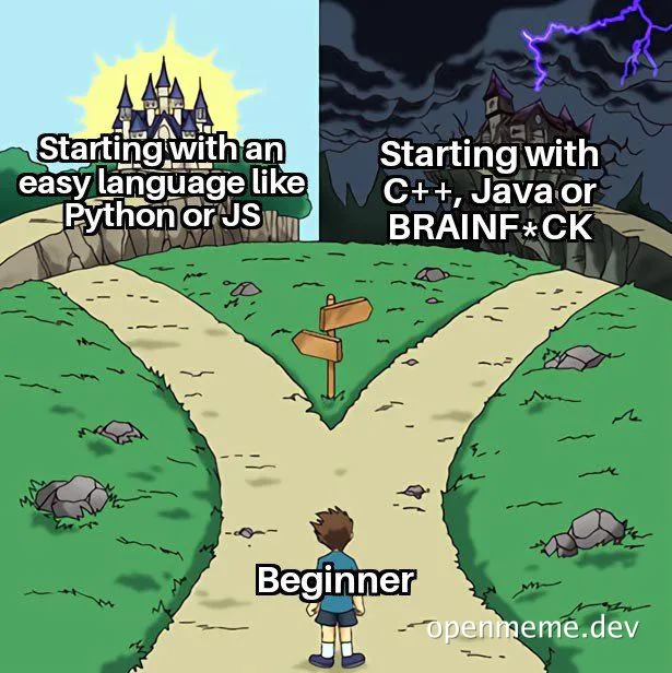 cartoon boy at a fork in the road choosing between easy programming languages like python or js and harder languages like c++, java, or brainf*ck
