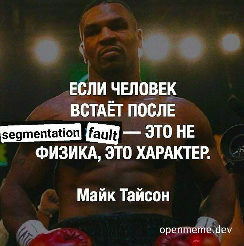 Mike Tyson meme with russian text about segmentation fault