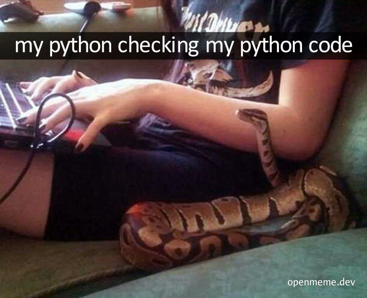 a woman sitting on a couch with a large snake wrapped around her legs, looking at a laptop with a humorous caption about python code review