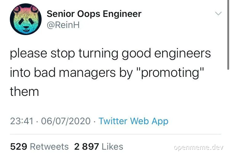 engineers turned into bad managers meme