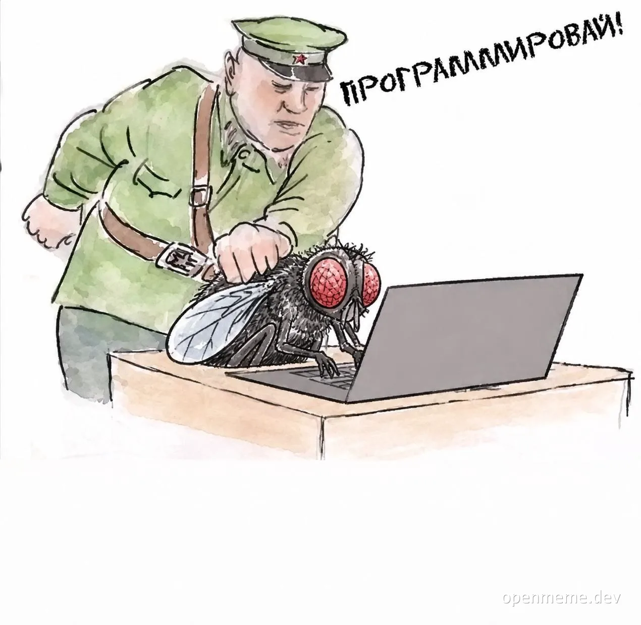 Офицер в военной форме кричит на муху на клавиатуре ноутбука: «Программируй!» — карикатура