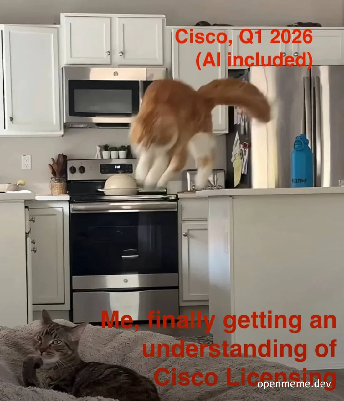 cat jumping on stove with text about cisco licensing