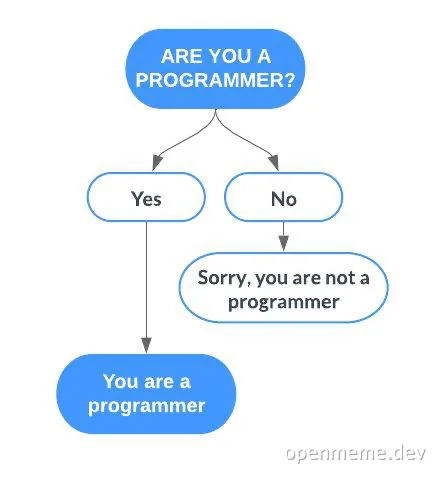 flowchart meme about programmers