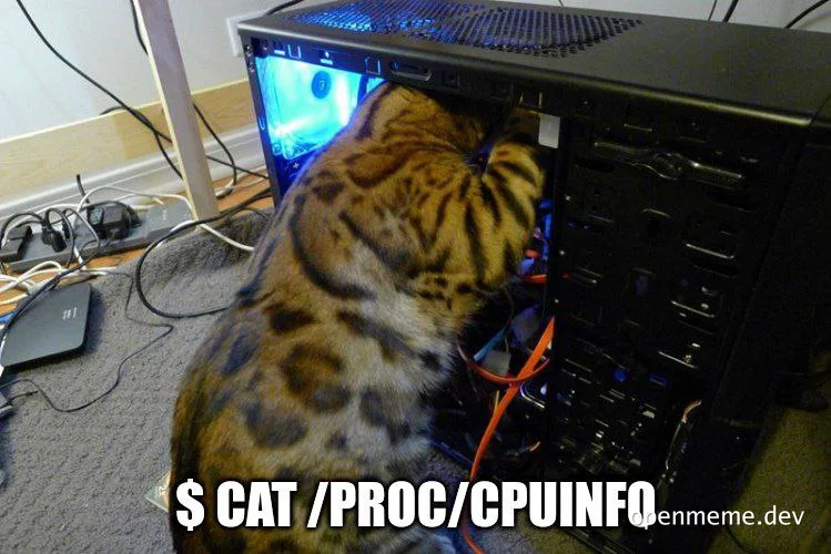 cat in computer case with linux command line reference