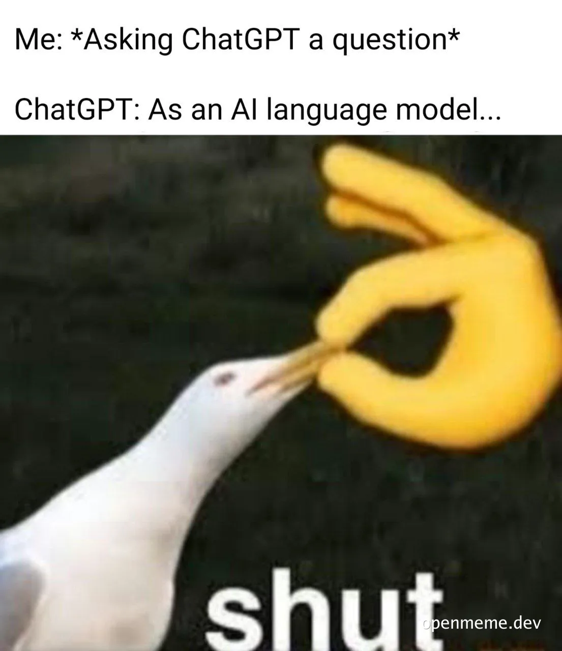 Seagull trying to shut a hand with its beak, with text 'Me: *Asking ChatGPT a question* ChatGPT: As an AI language model...'