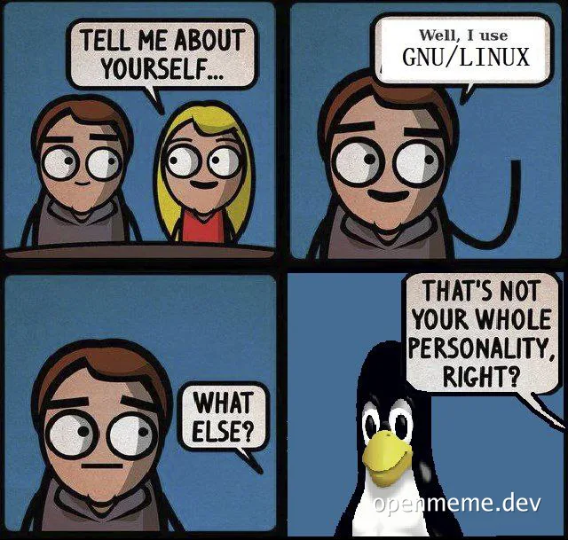 cartoon of a man telling a woman about himself in a job interview while a penguin looks on