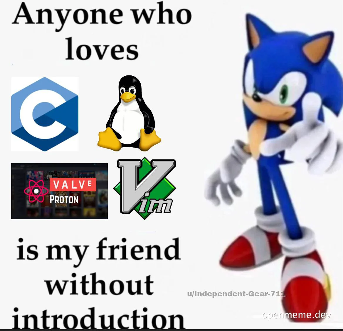 sonic the hedgehog next to logos of C, Linux, Valve Proton, and Vim with text 'Anyone who loves is my friend without introduction'