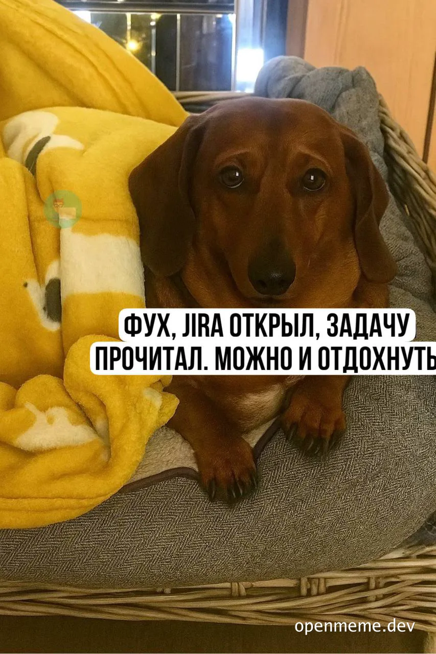 Dachshund dog resting on a cushion with a humorous Jira task caption
