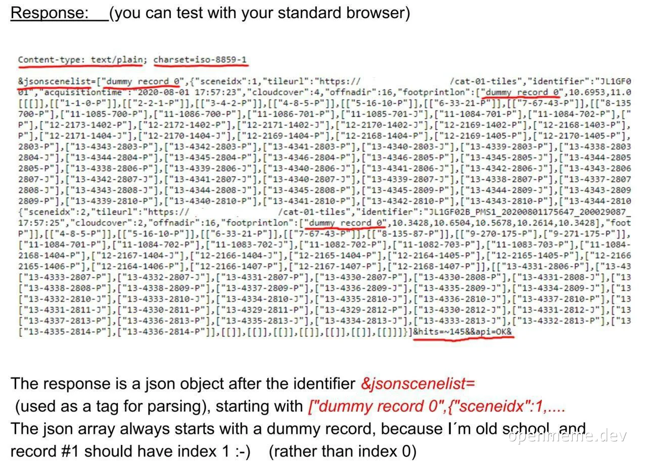 meme image of json data with dummy records