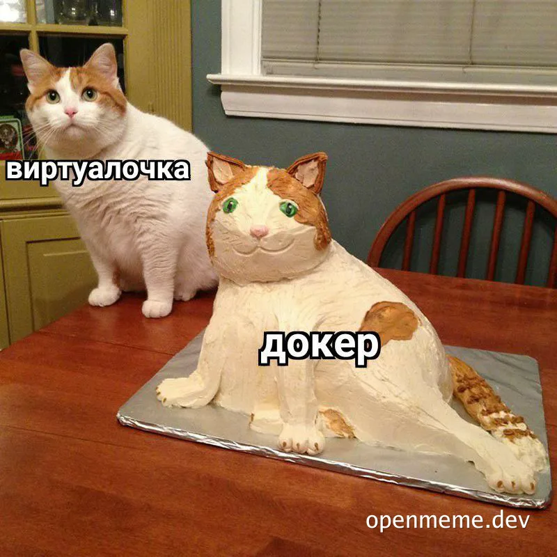 cat and cat cake with russian captions