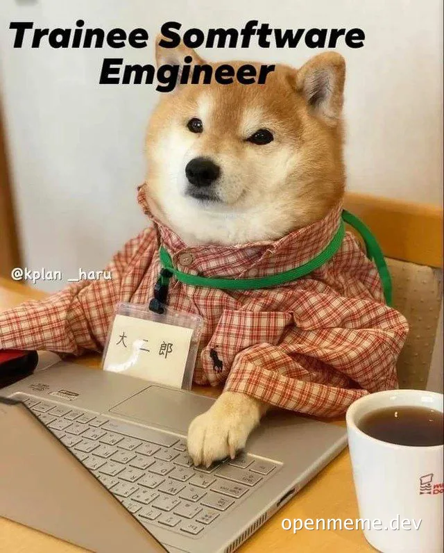 Shiba Inu dog in a plaid shirt typing on a laptop with text reading 'Trainee Somftware Emgineer'