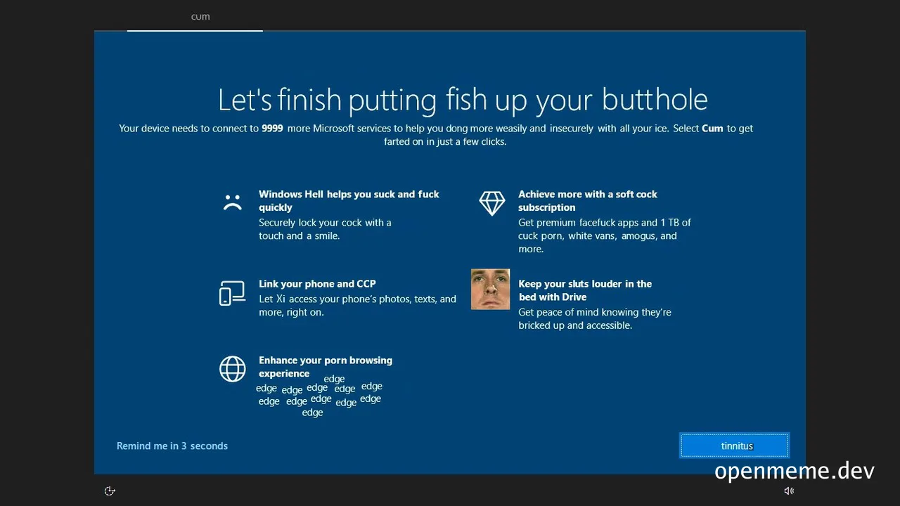 parody microsoft windows installation screen with explicit language