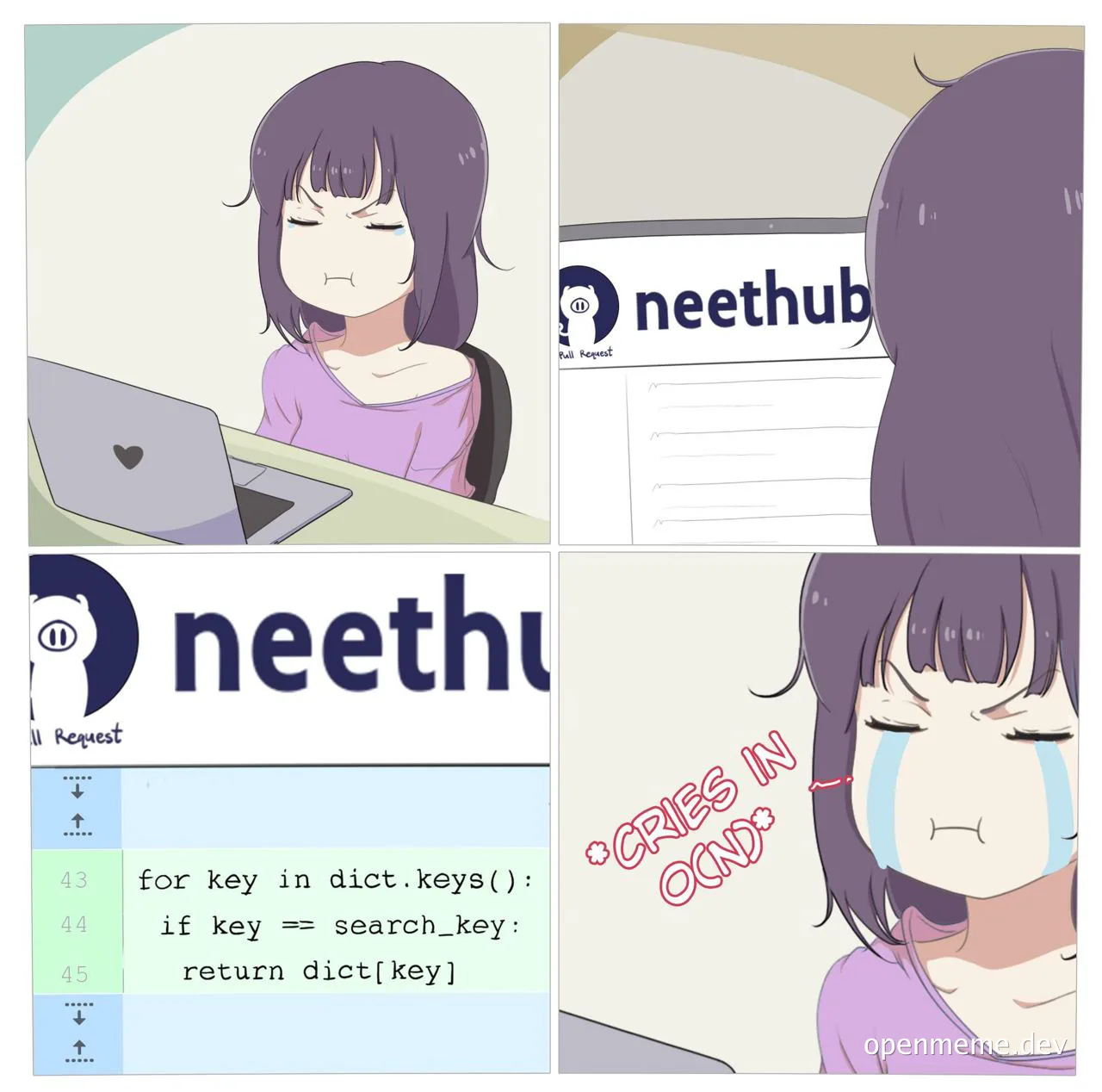 programmer frustration with inefficient code