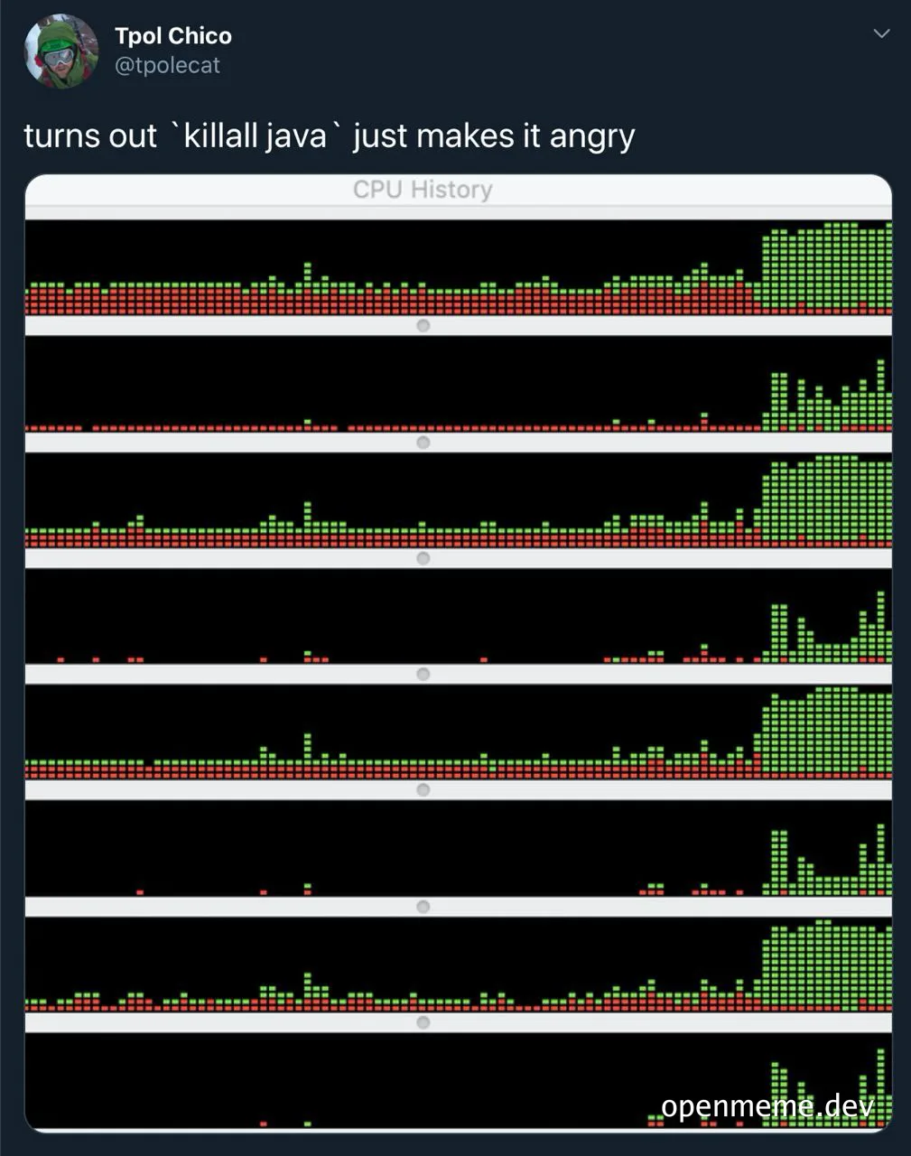 a graph of CPU history with a caption 'turns out killall java just makes it angry'