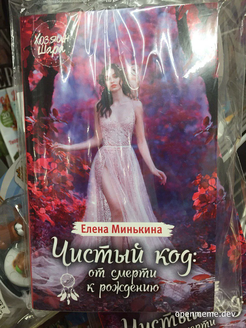 a book titled 'Clean Code: From Death to Birth' by Elena Minkina