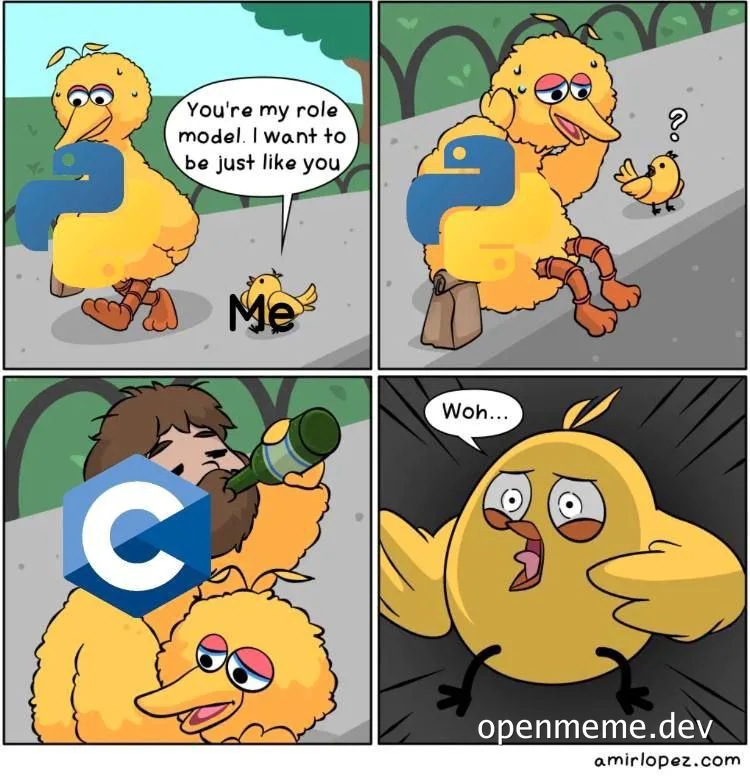Big Bird and Little Bird C Programming Language Meme