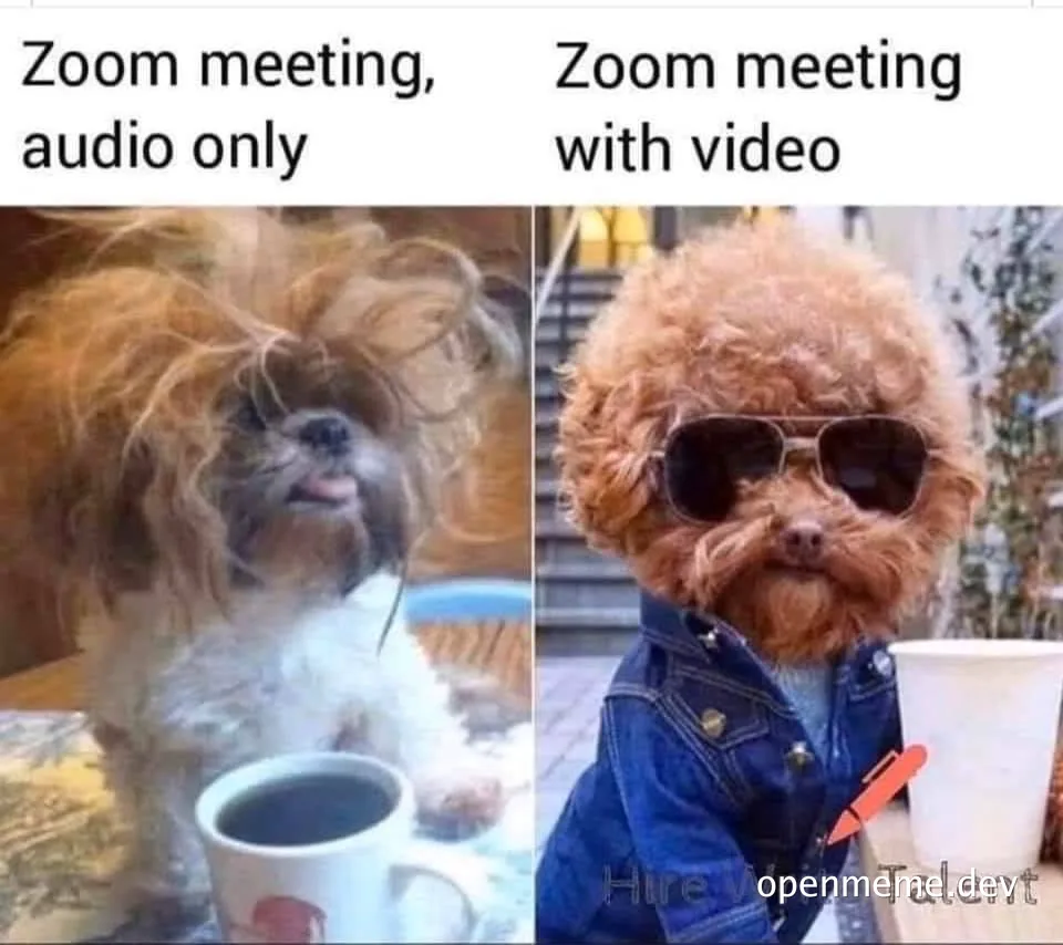 Meme of two dogs comparing Zoom meeting appearances
