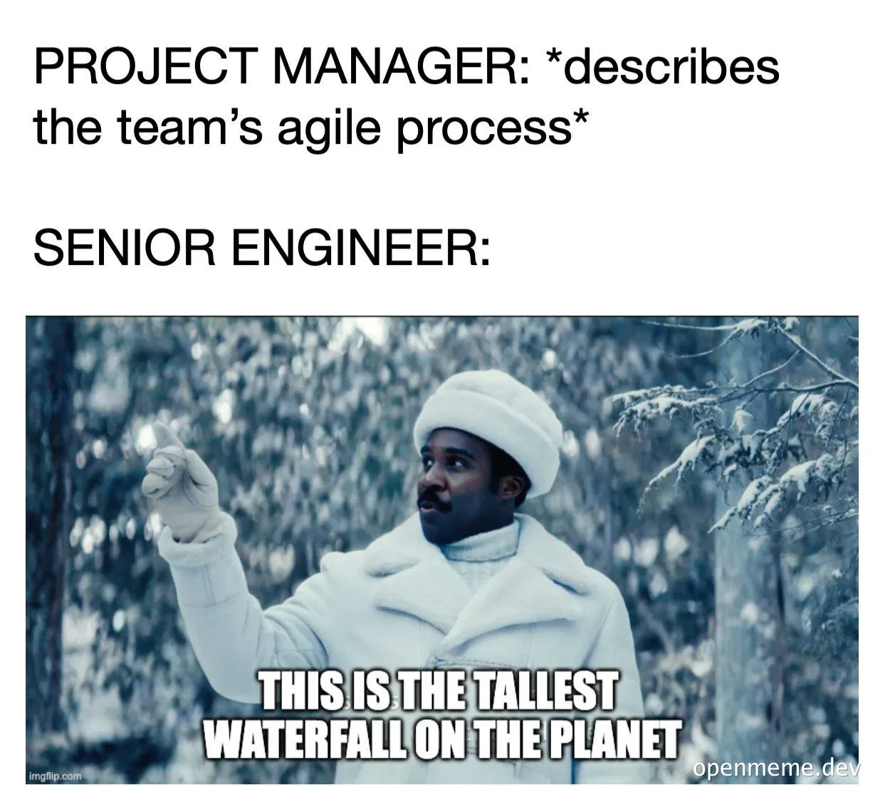 senior engineer reaction to agile process description