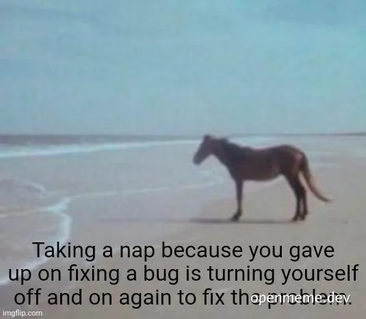 horse standing on beach taking a nap