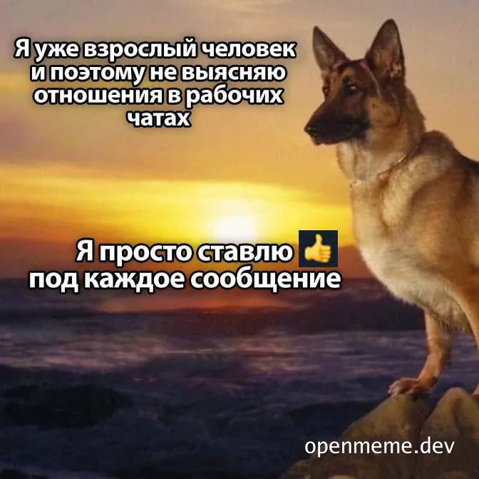 dog standing on rock by ocean with text about not discussing relationships in work chats