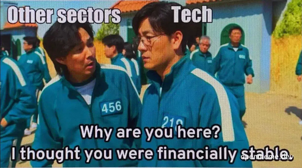 meme comparing financial stability of tech sector to other sectors