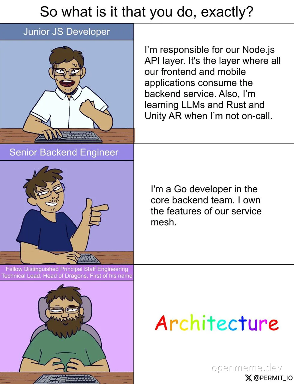 cartoon developer roles meme