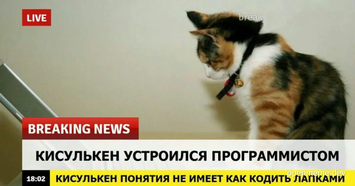 cat sitting next to laptop with breaking news on screen