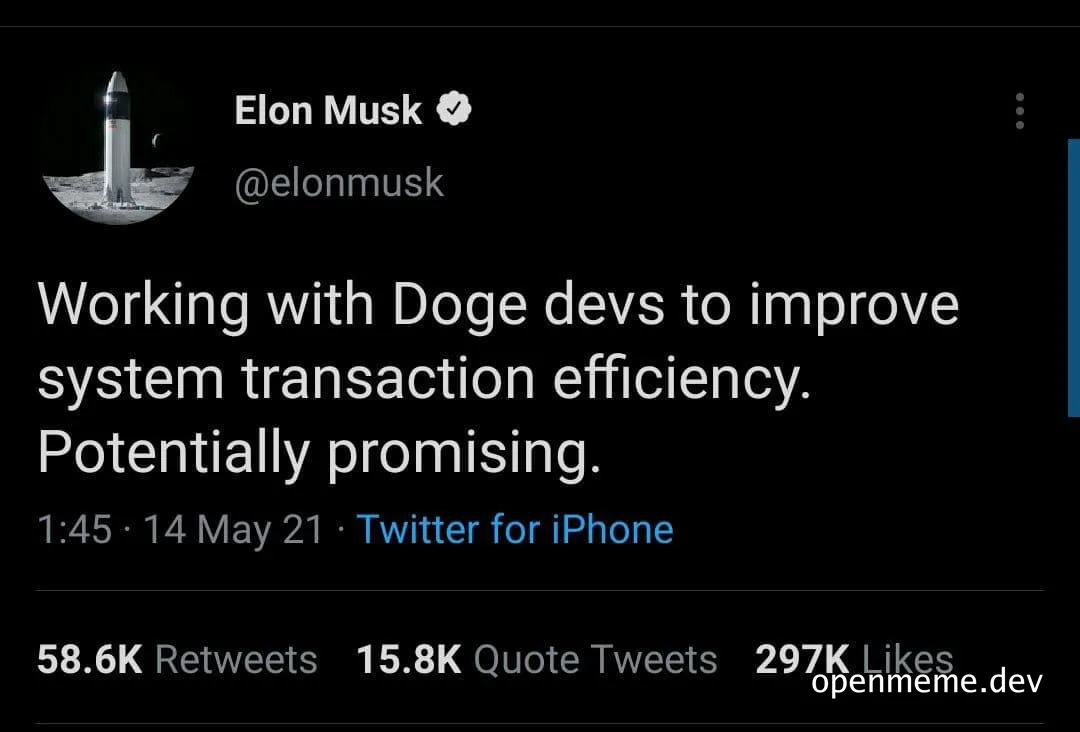 Elon Musk tweet about Dogecoin developers