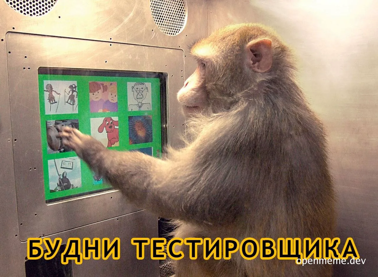 monkey testing software