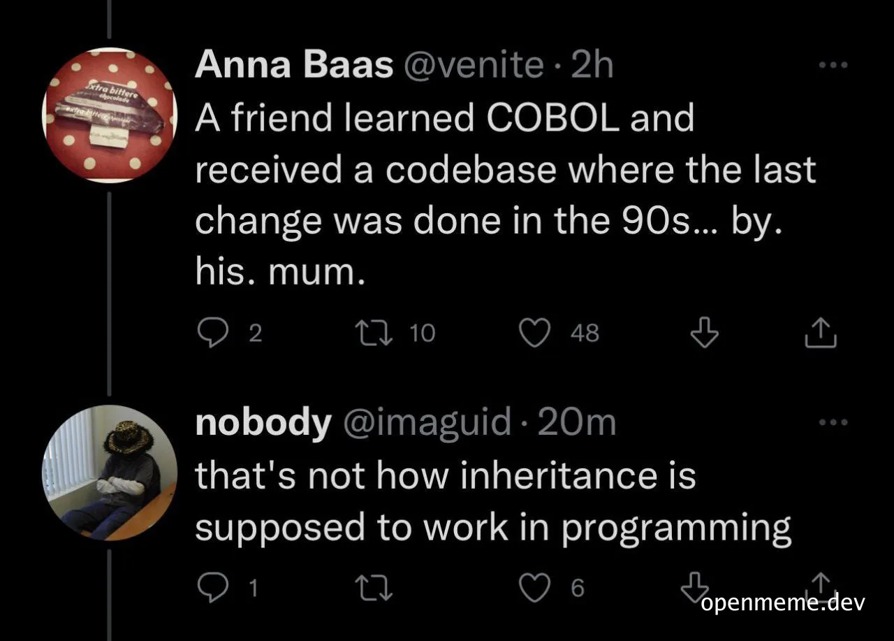 COBOL legacy code inheritance meme