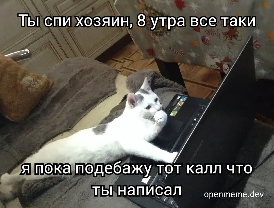 cat sleeping on laptop keyboard