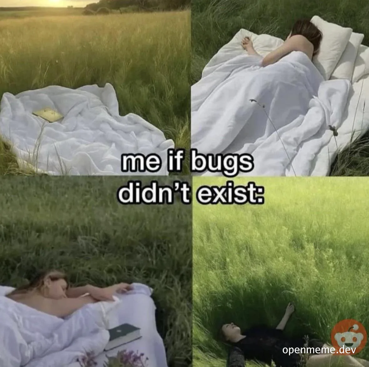 meme about sleeping outside without bugs