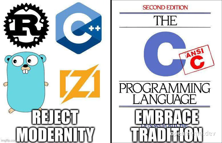 a meme comparing modern and traditional programming languages