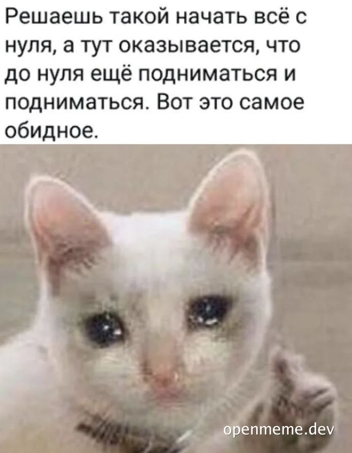 disappointed white cat meme