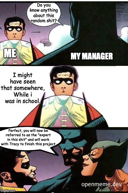 Batman and Robin comic panel turned into office meme about being made an expert on a project