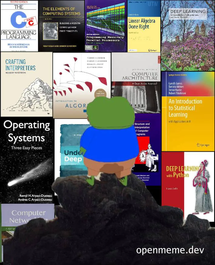 Bear in a blue shirt looking at computer science textbooks