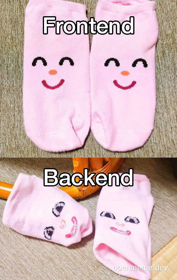 frontend vs backend socks meme