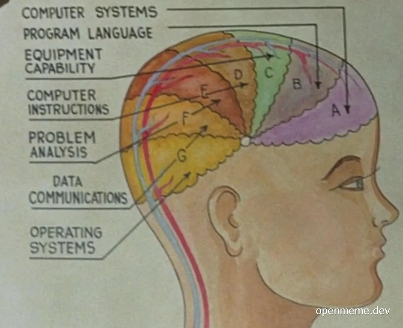 colorful diagram of a human head with computer science terms