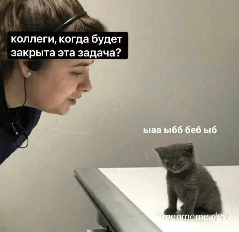 woman looking at a cat on a table with russian captions