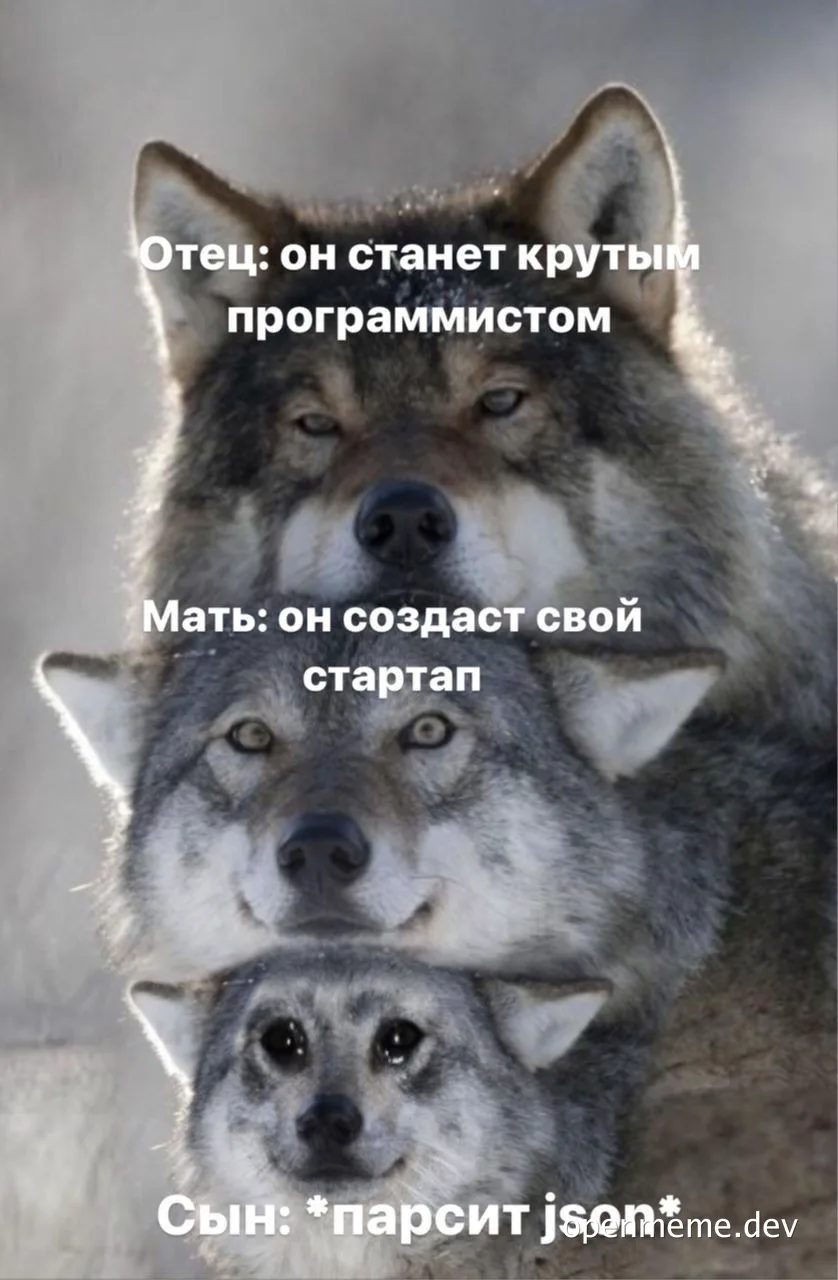 wolf meme about son parsing json