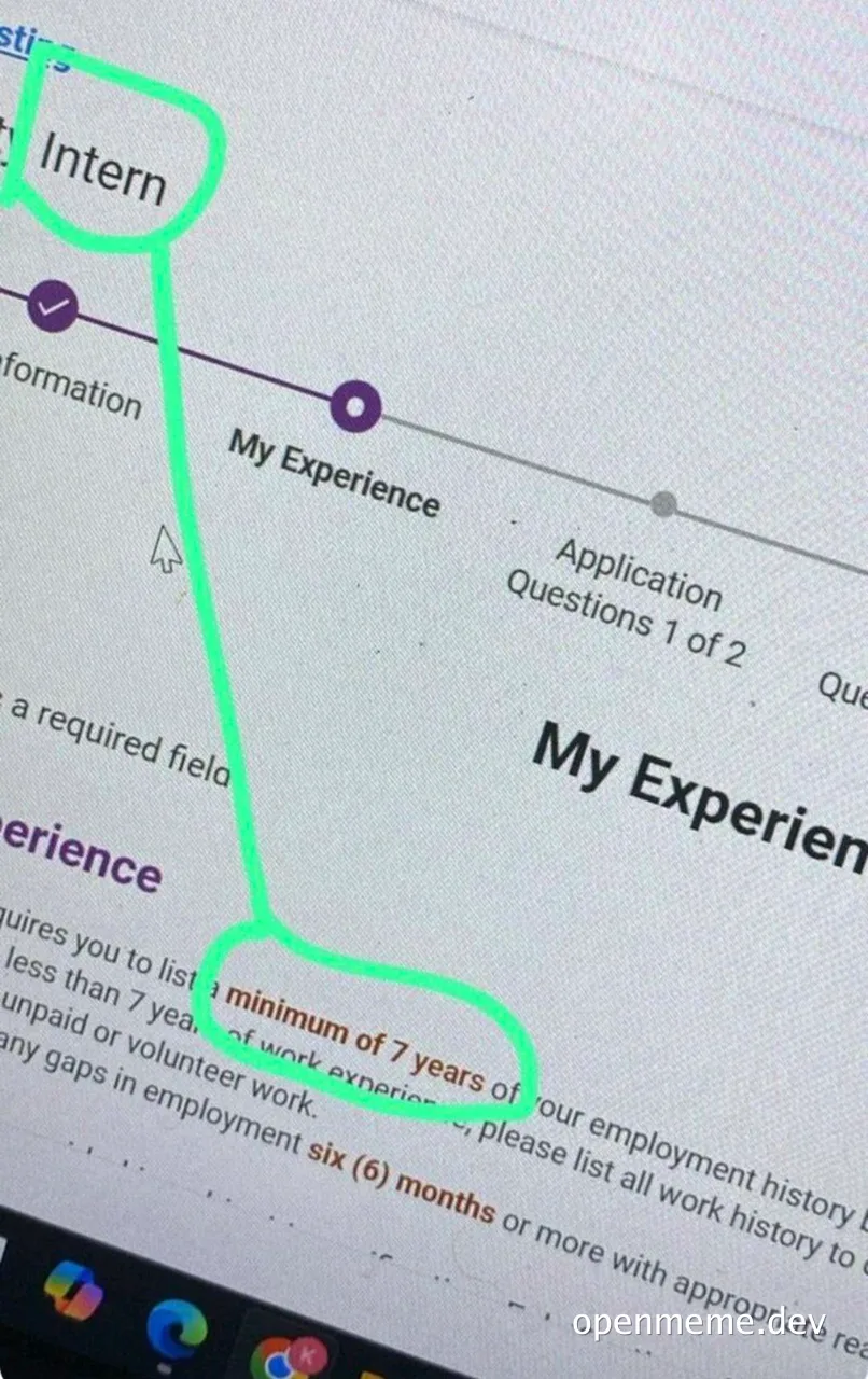 Intern application form with highlighted minimum 7 years experience requirement