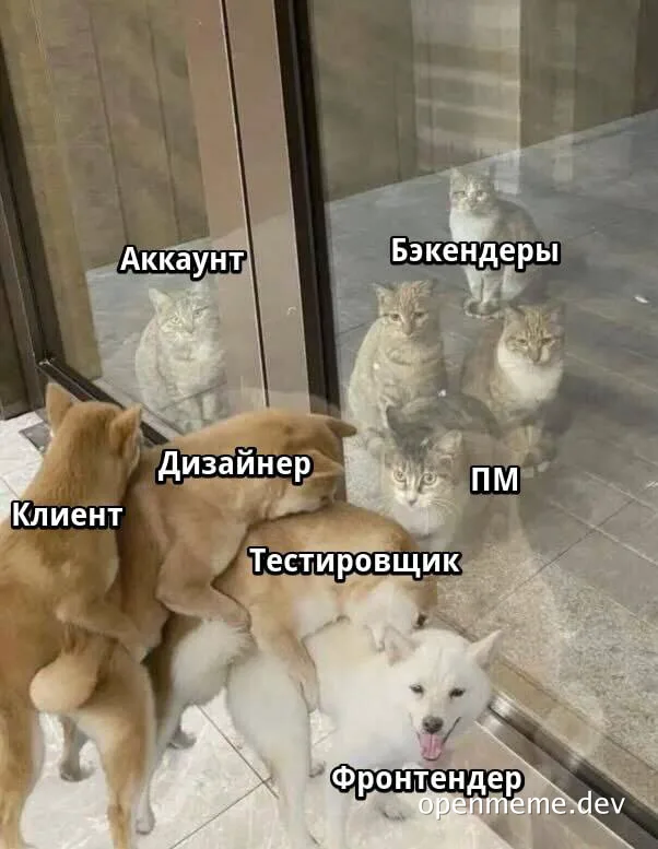 Dogs and cats labeled with Russian developer and office roles looking at their reflections