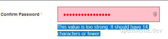 Password confirmation error