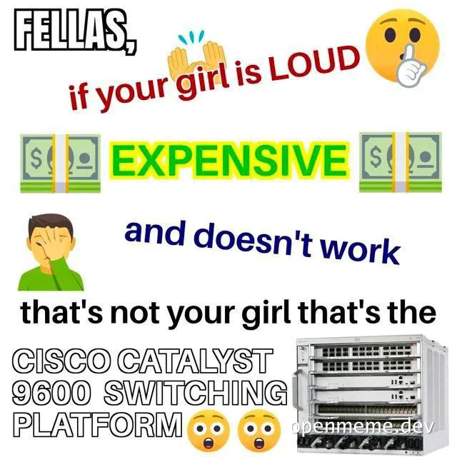Cisco Catalyst 9600 Switching Platform meme with a humorous comparison to a loud, expensive, and non-working girlfriend
