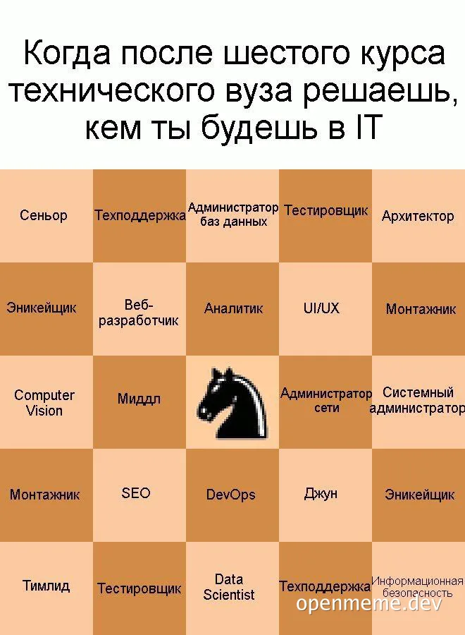 IT career path confusion meme