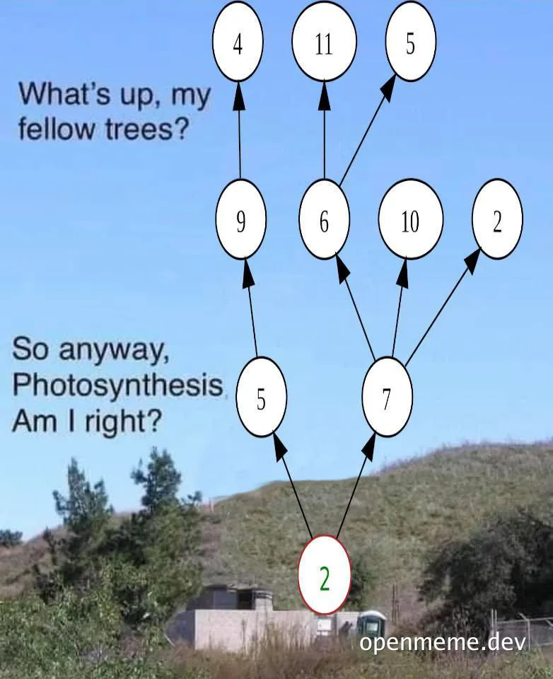 A diagram of a binary tree overlaid on a forest landscape with text asking about photosynthesis