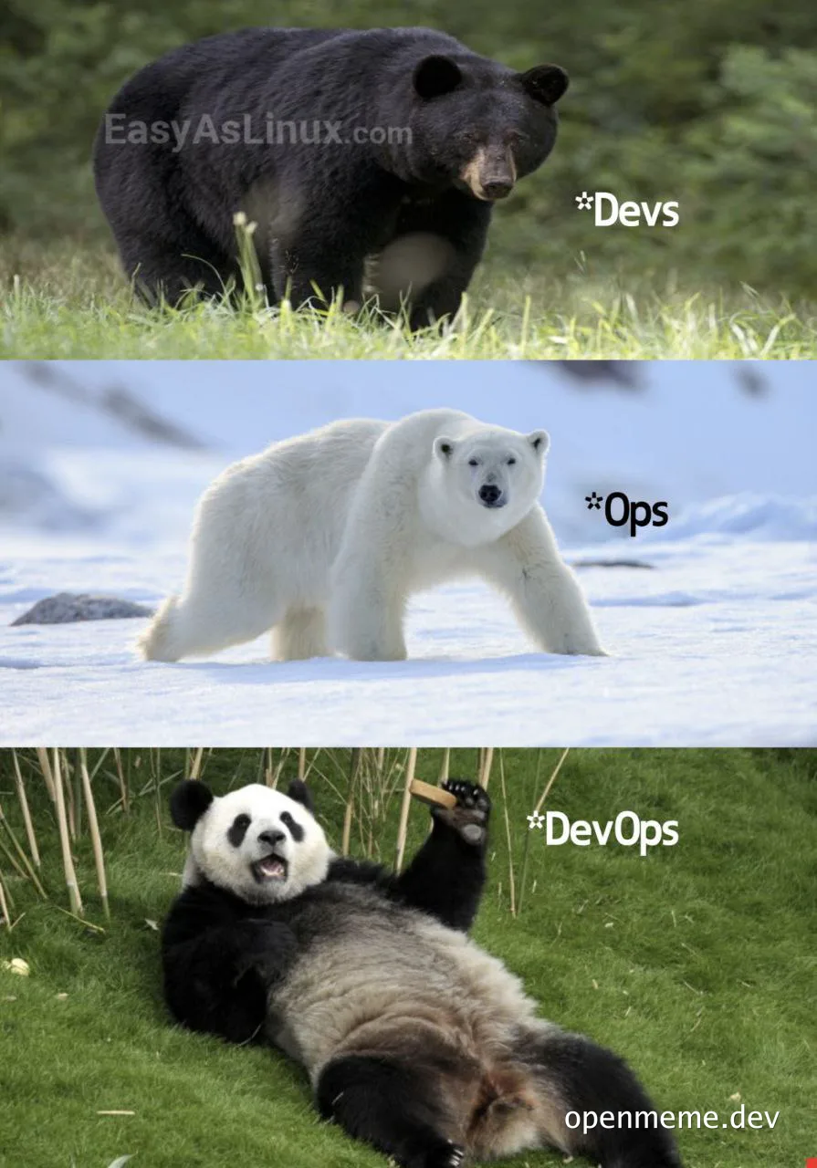 Devs, Ops, and DevOps meme with bears